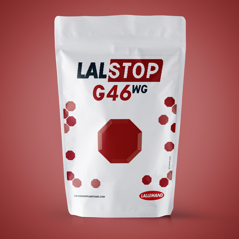 LALSTOP G46 WG main image